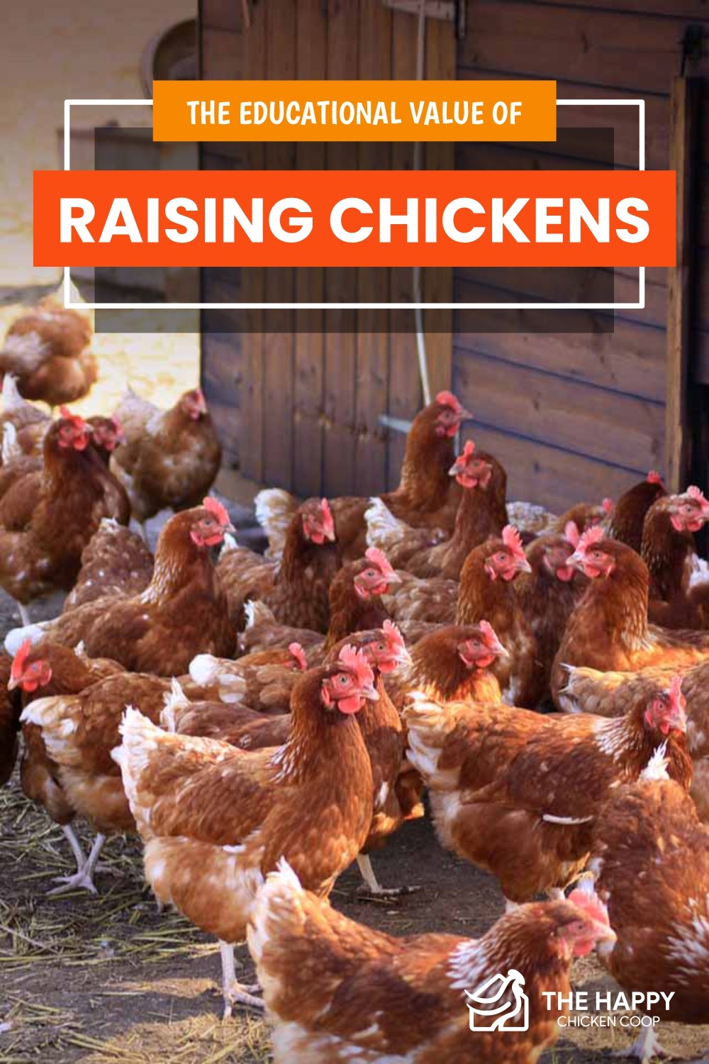 The Educational Value of Raising Chickens