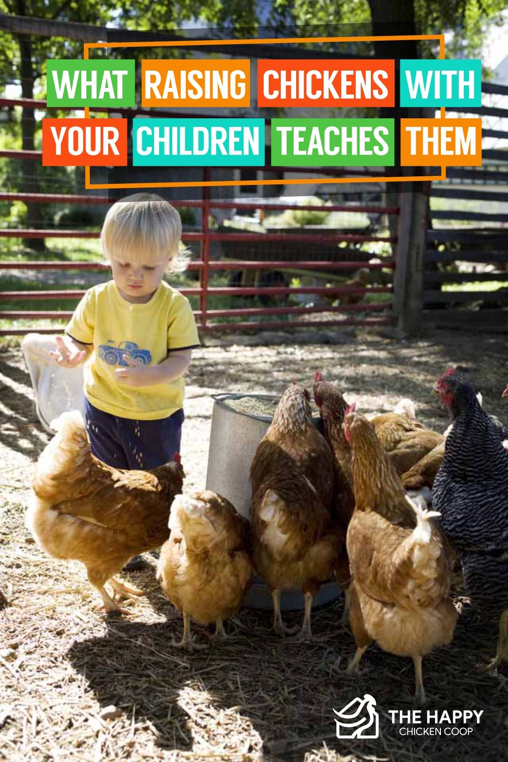 What Raising Chickens with Your Children Teaches Them
