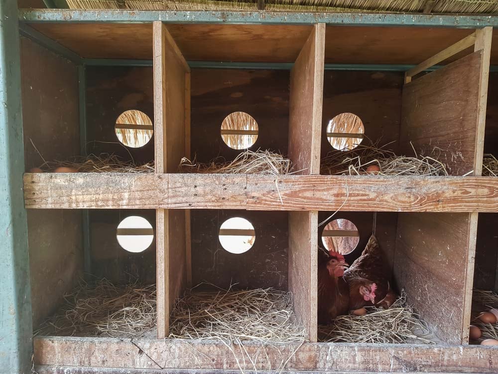 Chicken coop vent ideas Pandemic Project: Trailer renovation allows for extended emergency radio assistance