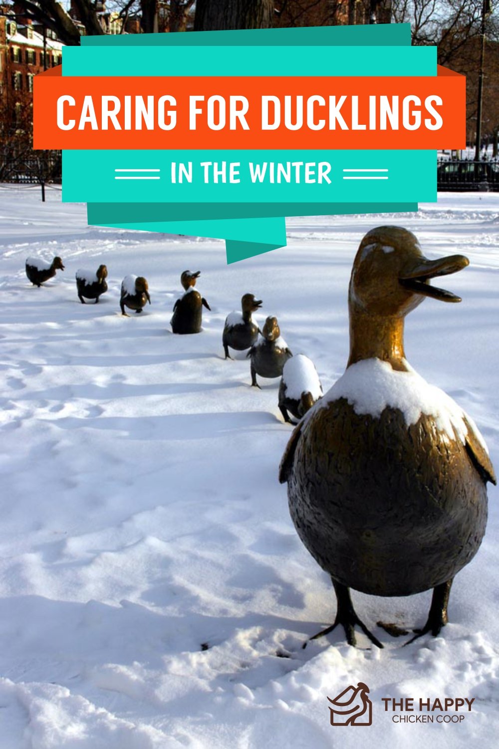  Ducklings In The Winter