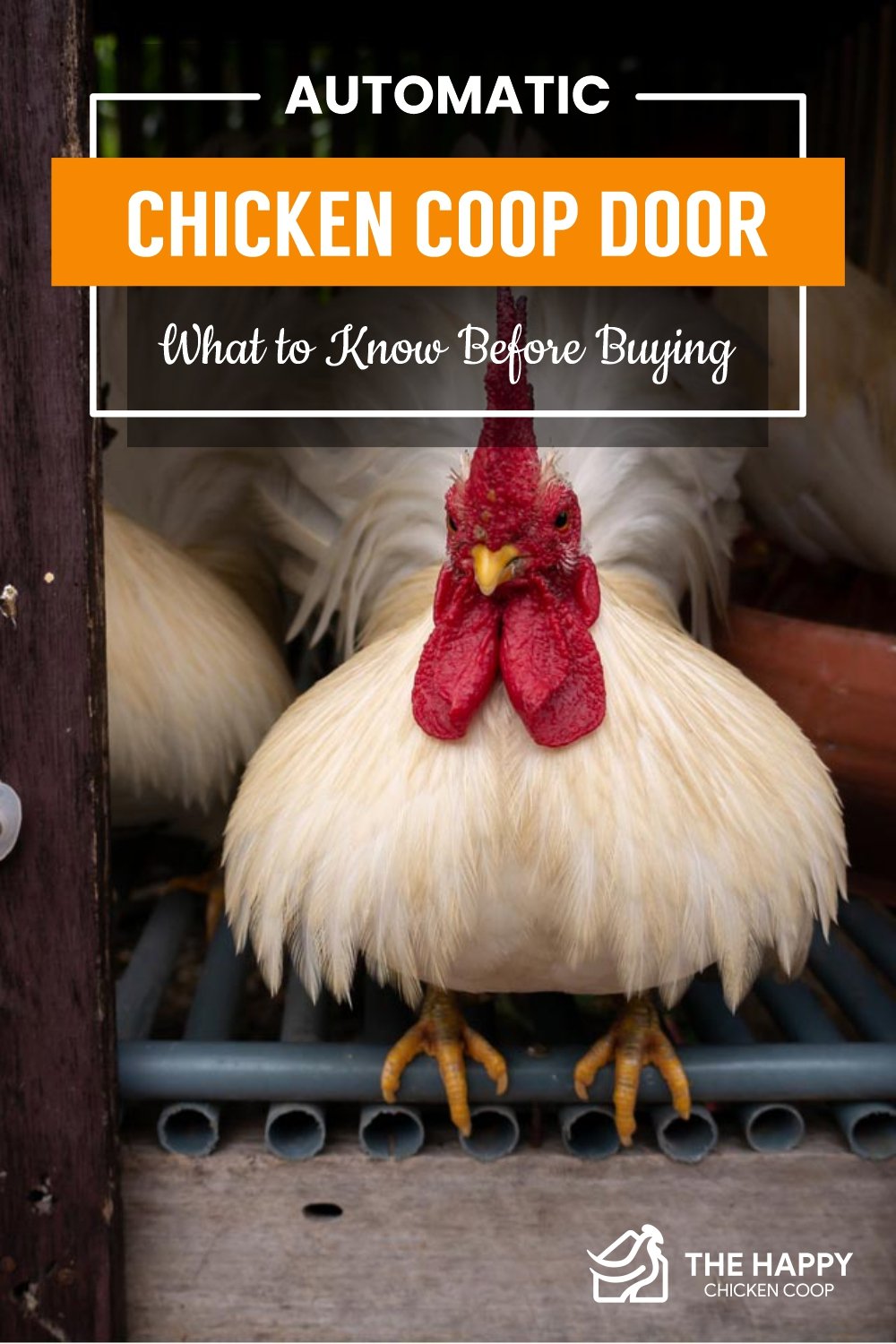 Automatic Chicken Coop Door (Pros and Cons) - Whole Made Living