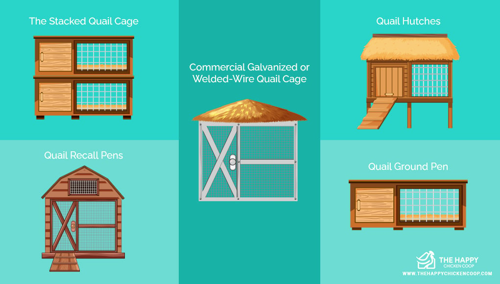 quail cages