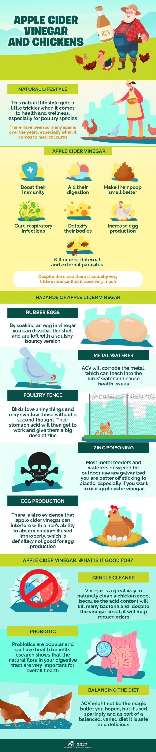 Apple Cider Vinegar and Chickens