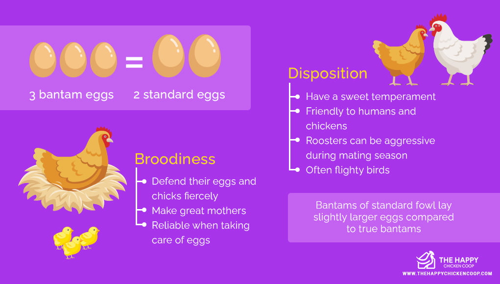 How to Use Bantam Eggs