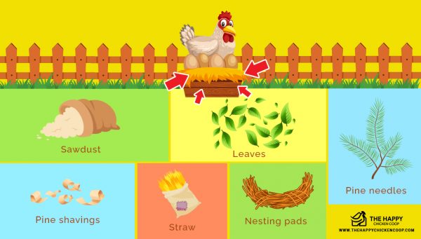 Chicken Nesting Boxes 101 and 13 Best DIY Plans
