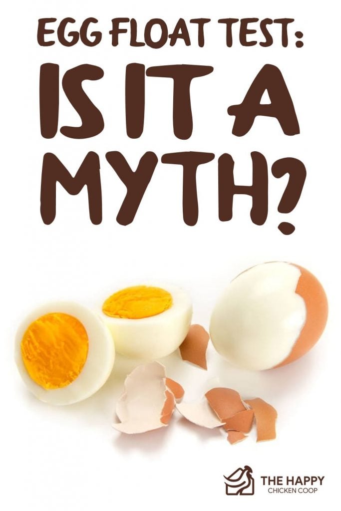 Science Explains Why Rotten Eggs Float