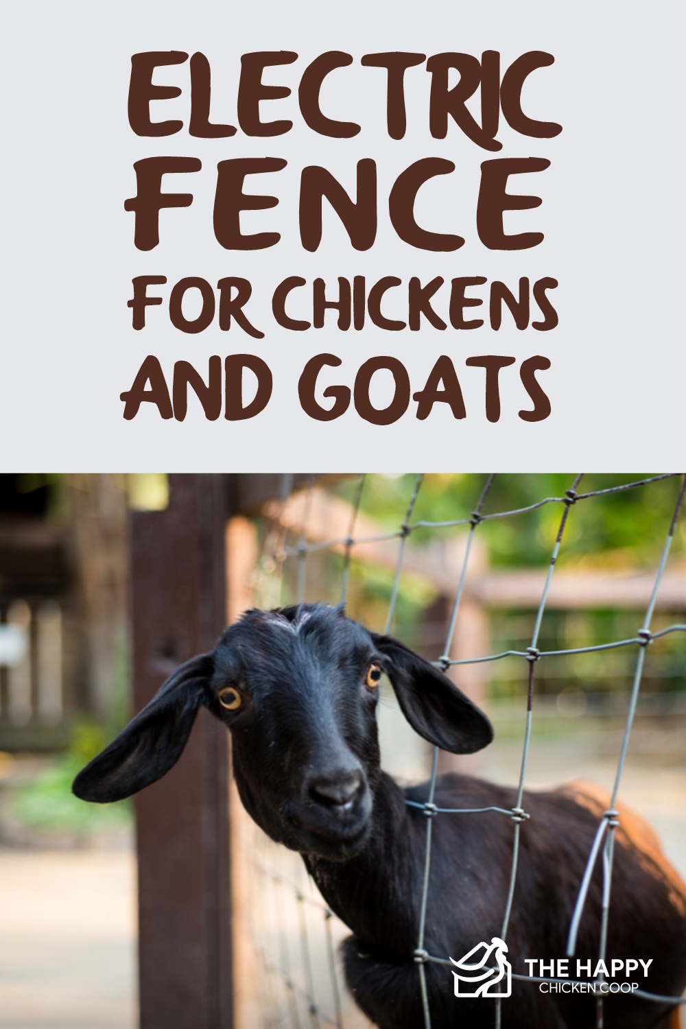 Electric Fence for Chickens and Goats