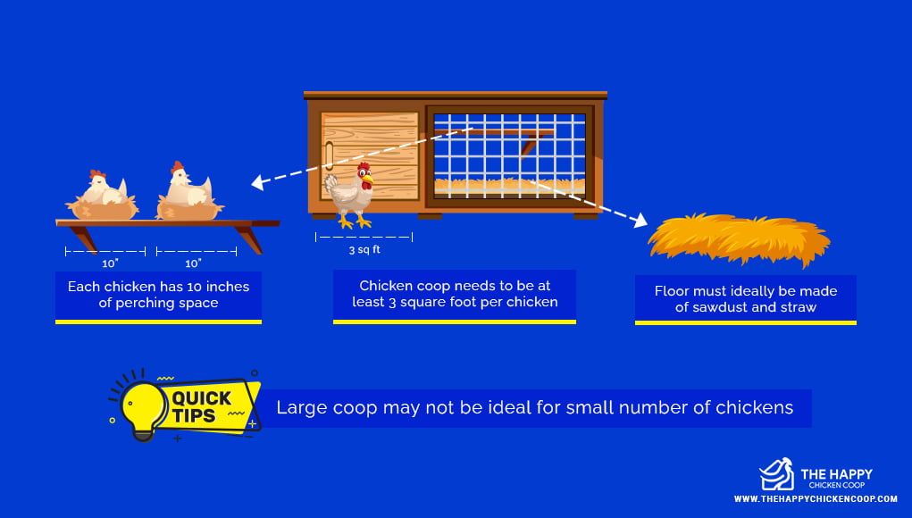 how much room do chickens need