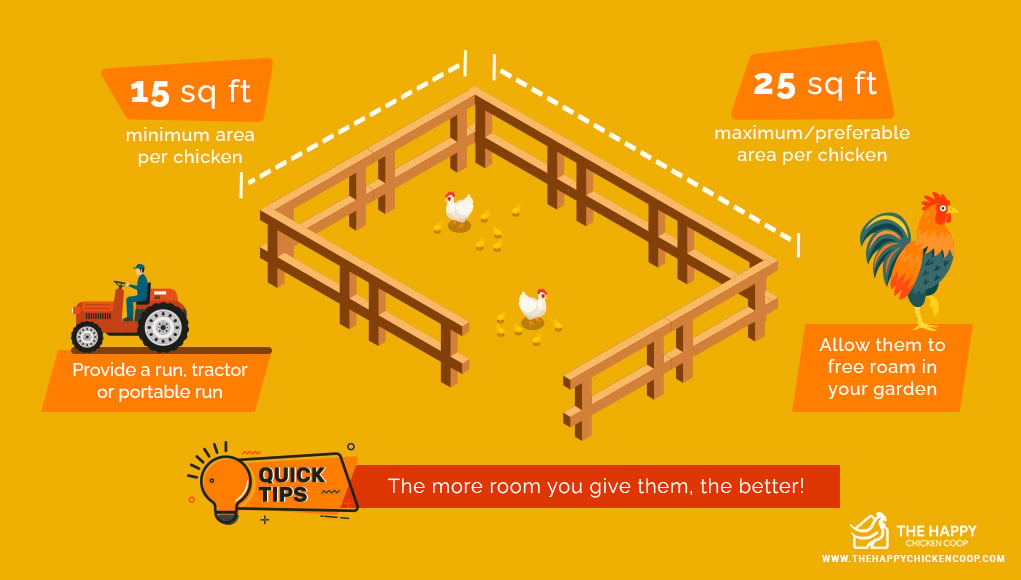 how much room do chickens need