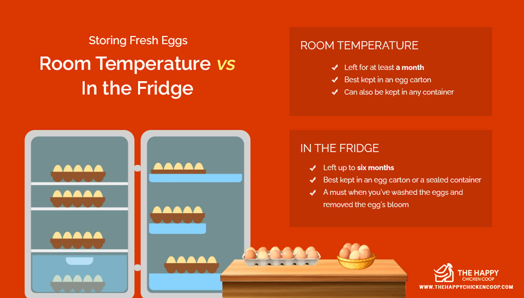 There are some eggs in the fridge. Frozen Human Eggs or Fresh Eggs statystics.