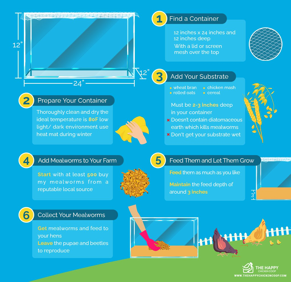 mealworm farm