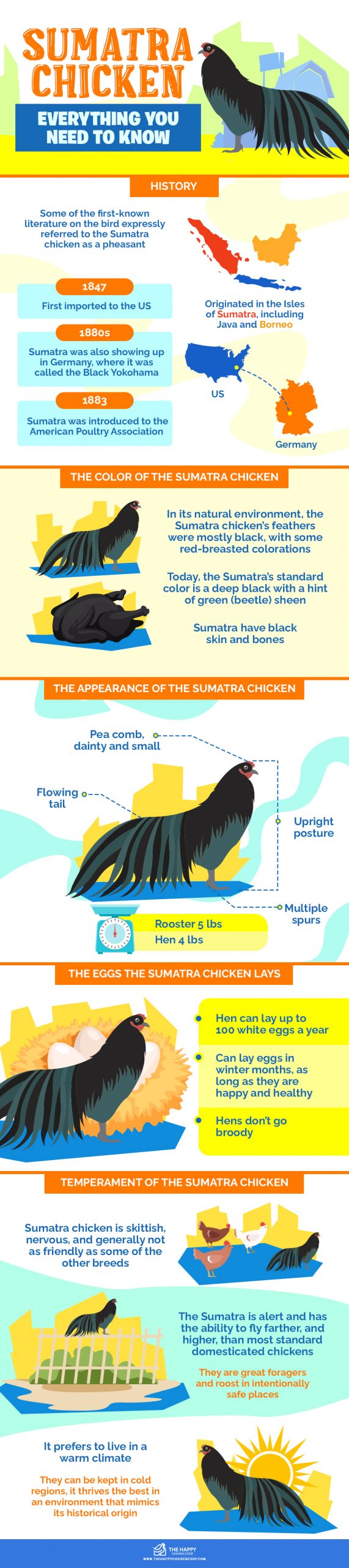 Sumatra Chicken
