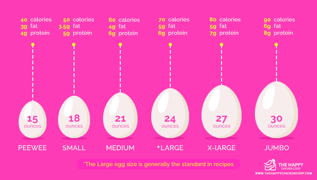 Chicken Breeds That Lay The Largest Eggs 