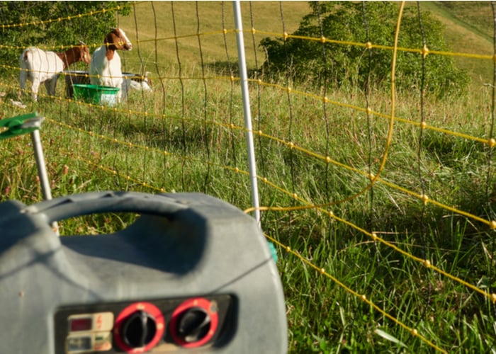 How Does Electric Fence Work