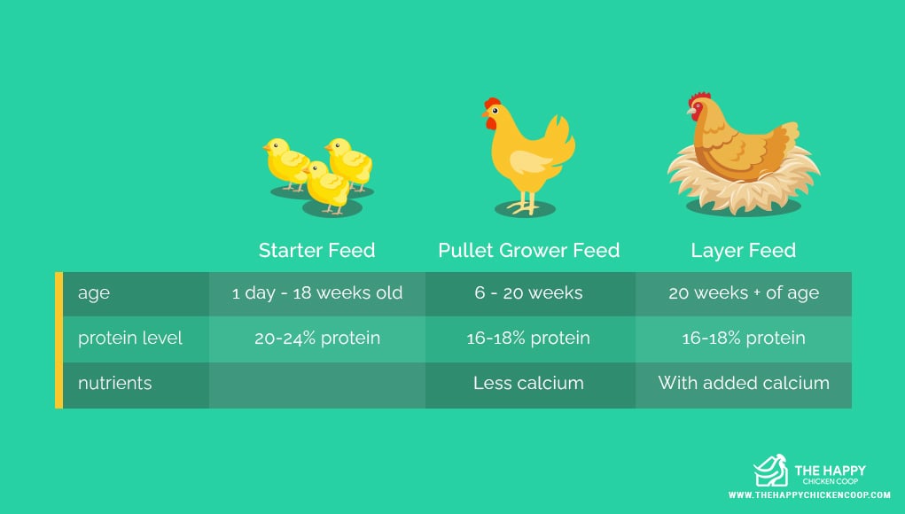 Chicken Feed Brands 