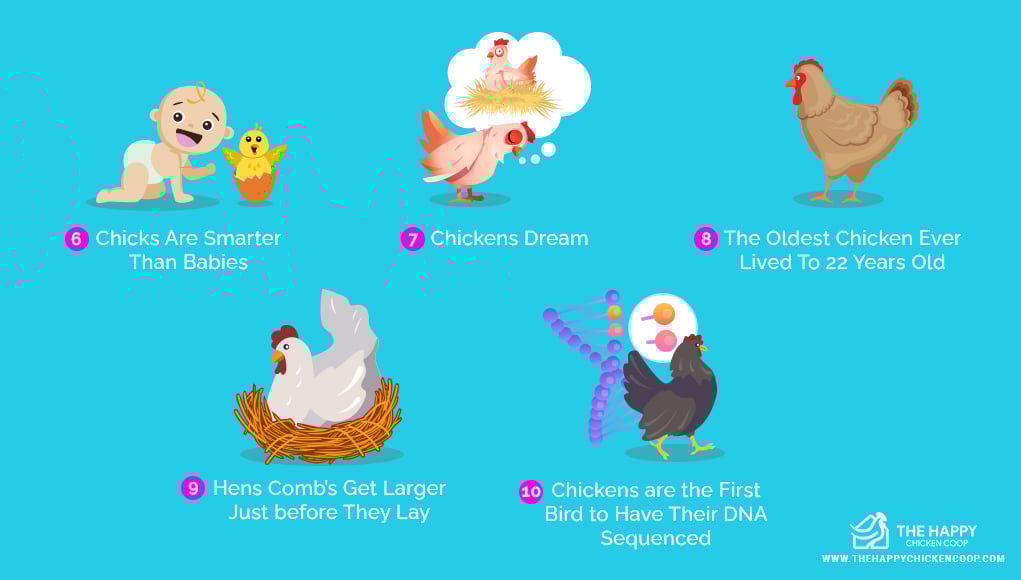 Fun facts Really You Never Knew this Surprise LOL