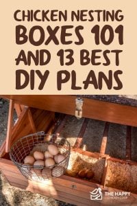 Chicken Nesting Boxes
