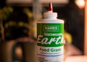 Diatomaceous Earth and chickens