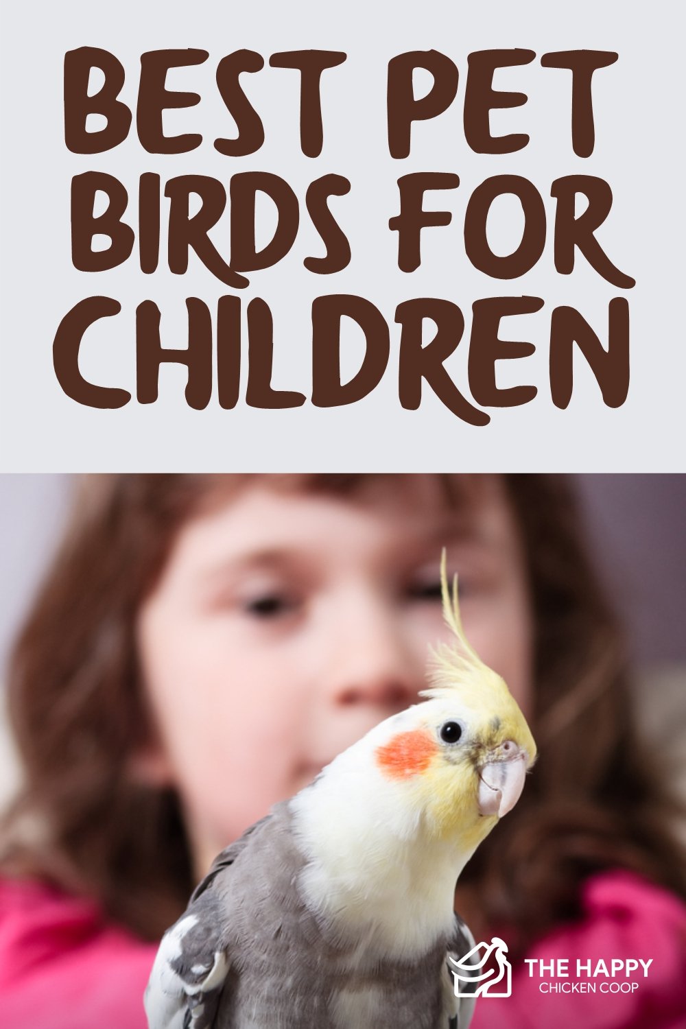 best pet birds for children