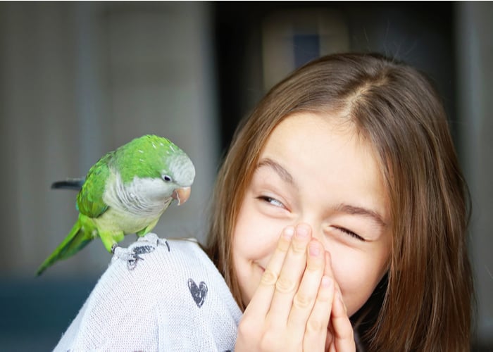 pet birds for children