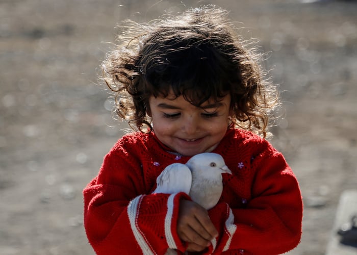 pet birds and children dove