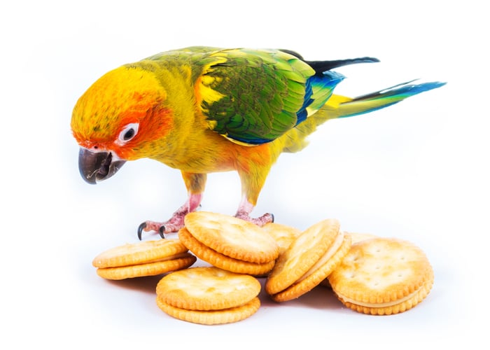 poisonous to birds