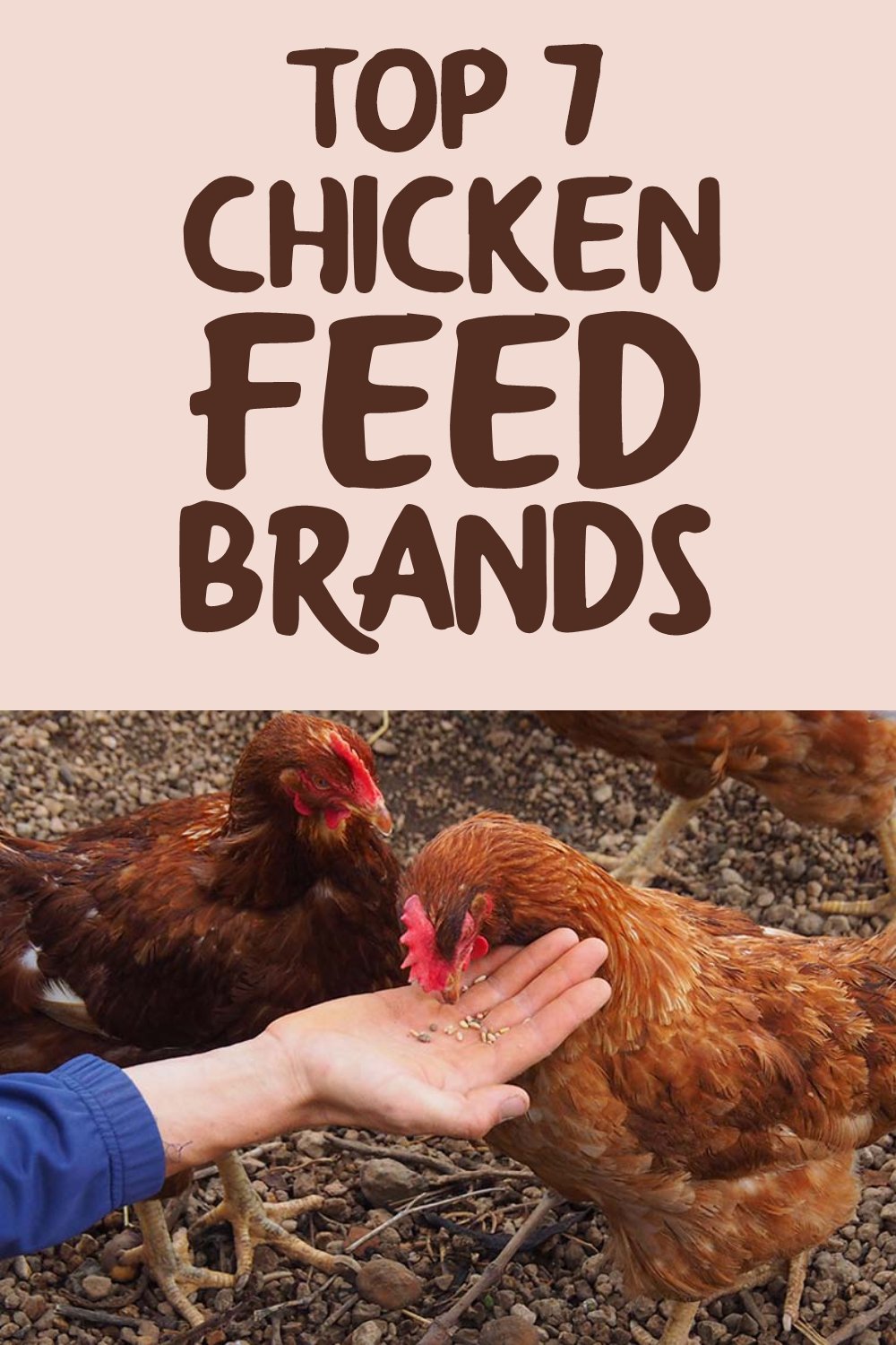 Top 7 Chicken Feed Brands