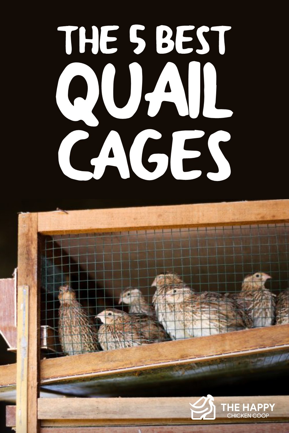 the-5-best-quail cages