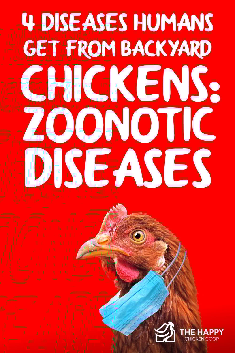 4 Diseases Humans Get from Backyard Chickens- Zoonotic Diseases