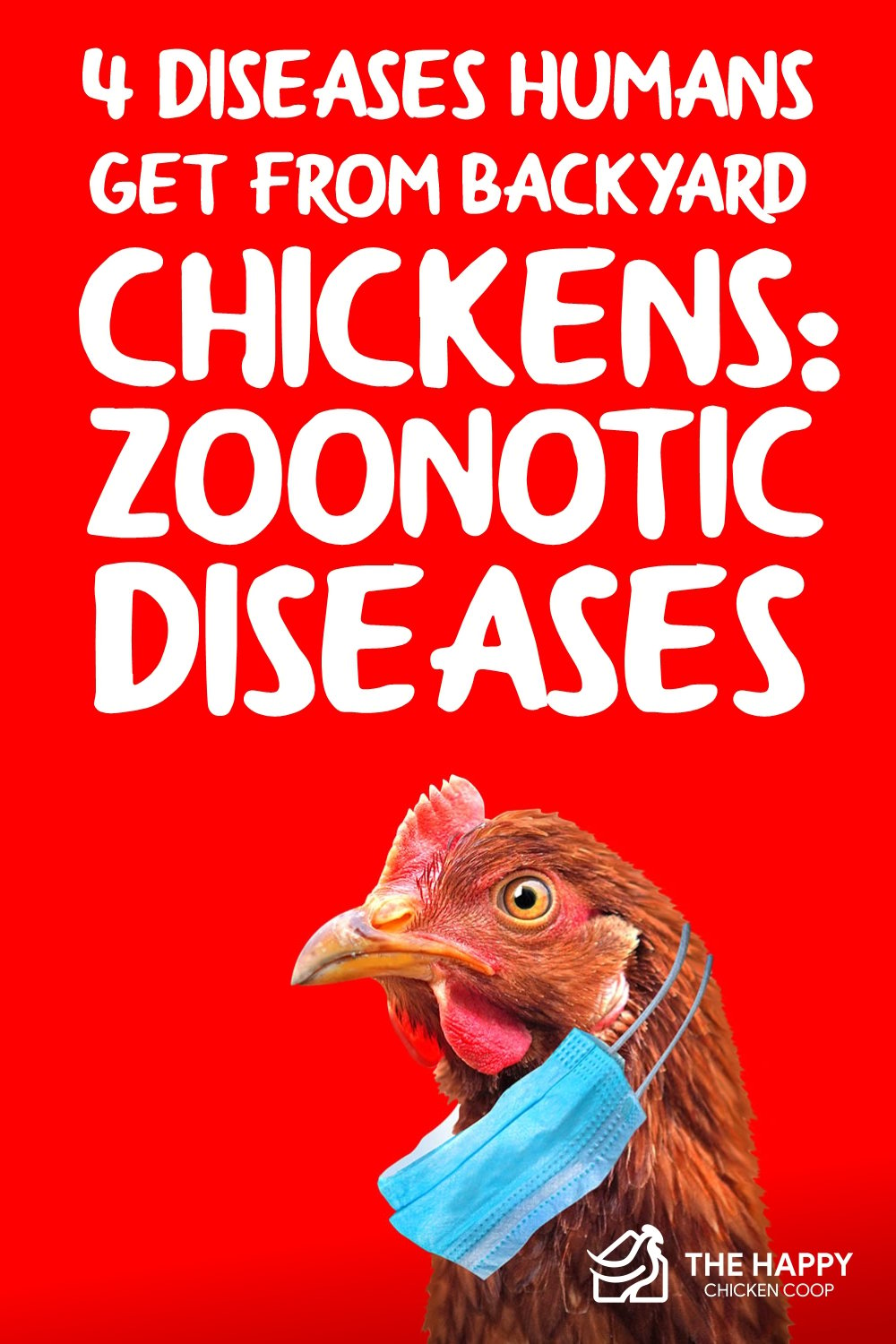 4 Diseases Humans Get from Backyard Chickens- Zoonotic Diseases