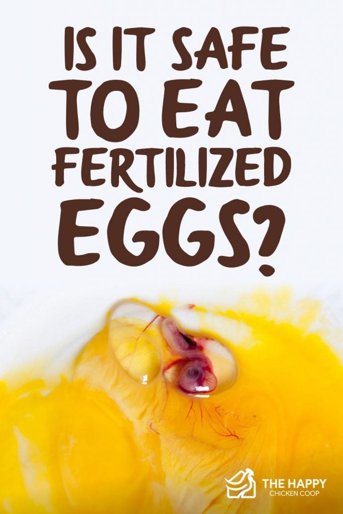 Eat Fertilized Eggs