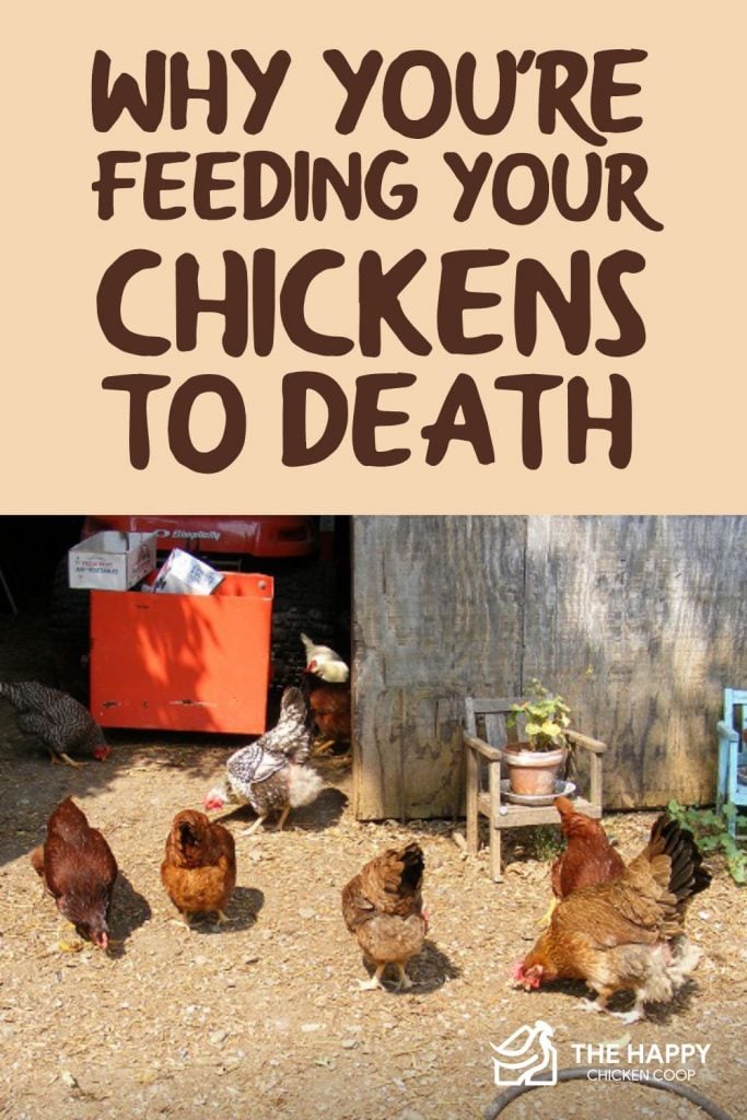 Feeding Your Chickens To Death