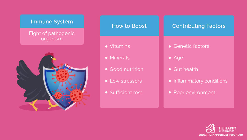 immune boosters for poultry