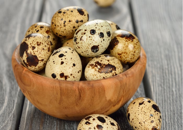 how to store quail eggs featured image