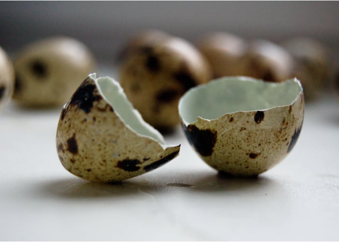 Bloom is a natural protective layer on a quail's eggshell