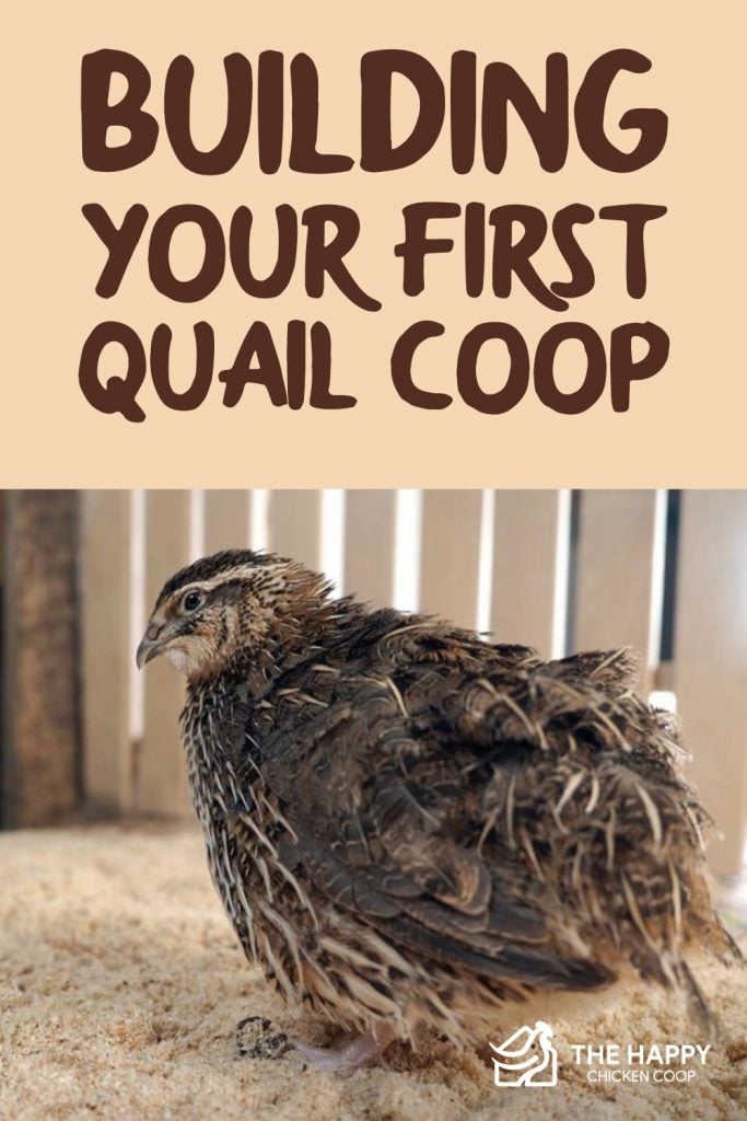 Building Your First Quail Coop