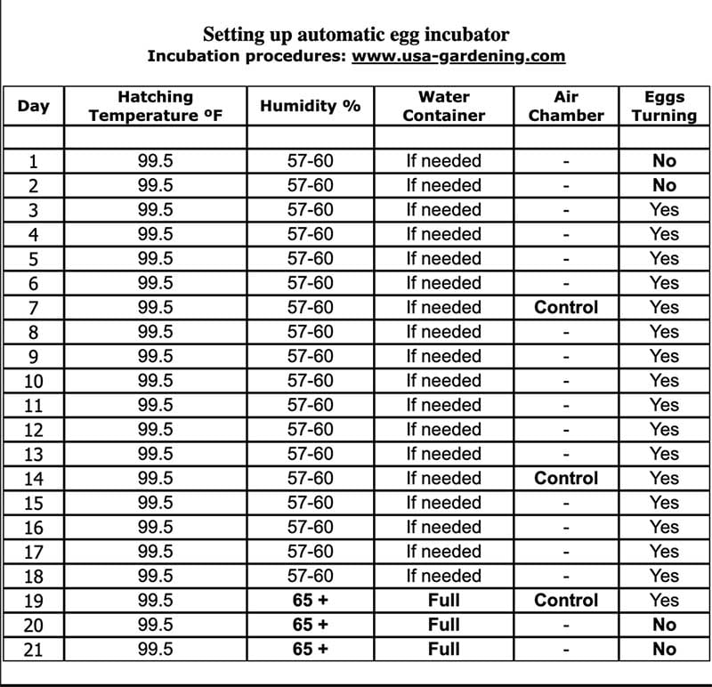 Chicken Incubator Temperature Chart