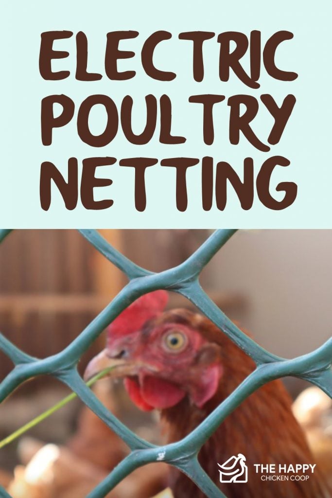 Electric Poultry Netting 