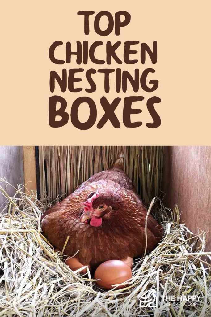 chicken nesting boxes