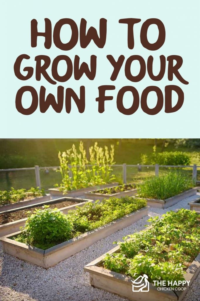 Grow Your Own Food