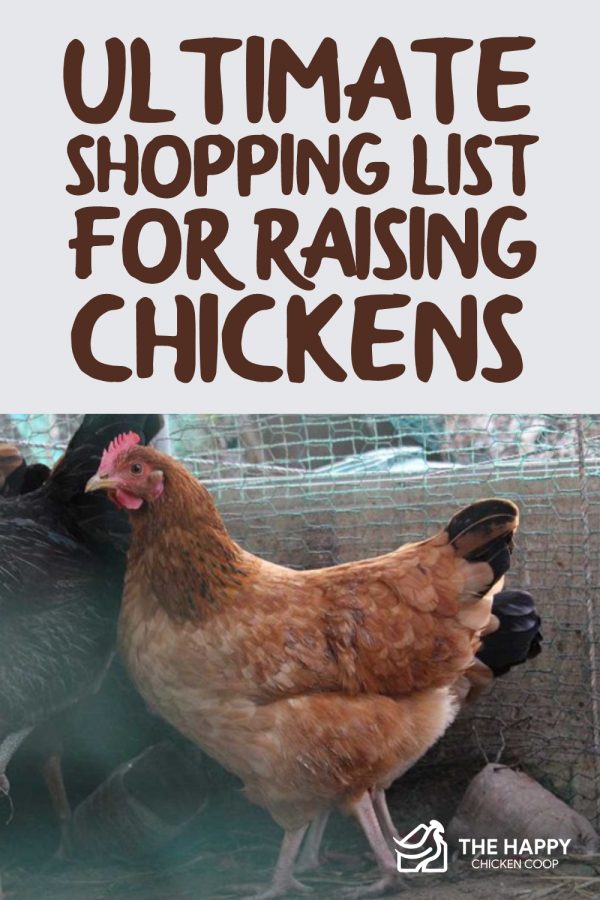 Ultimate Chicken Supplies List: Your Chick and Chicken Raising Kit