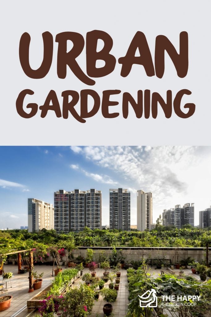 Urban Gardening