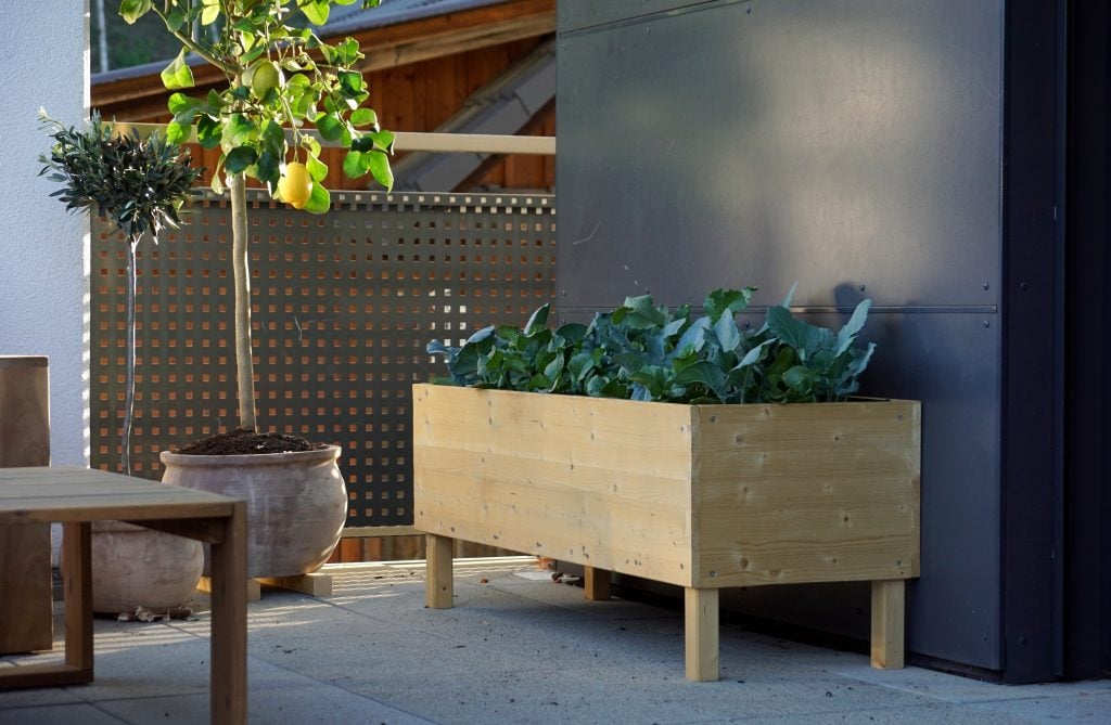 gorgeous raised beds