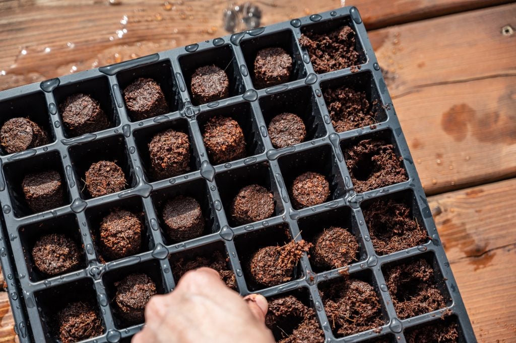 seed trays