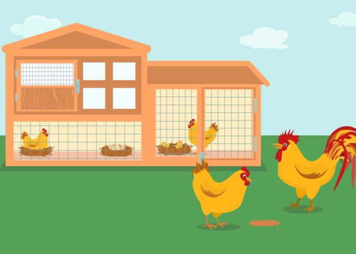 How chicken tractor works?