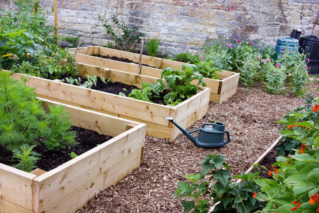 wood raised beds