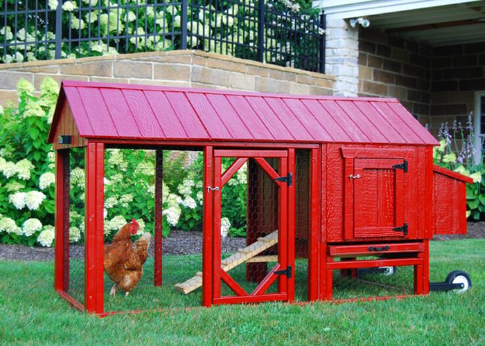 top 1 best chicken tractor