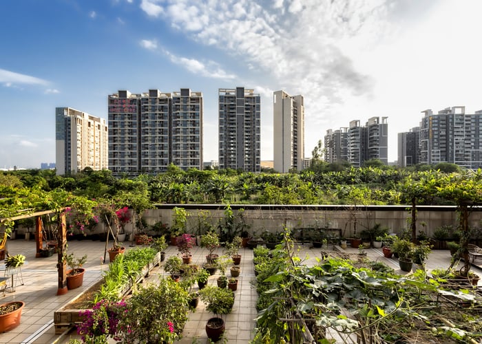 what is an urban garden