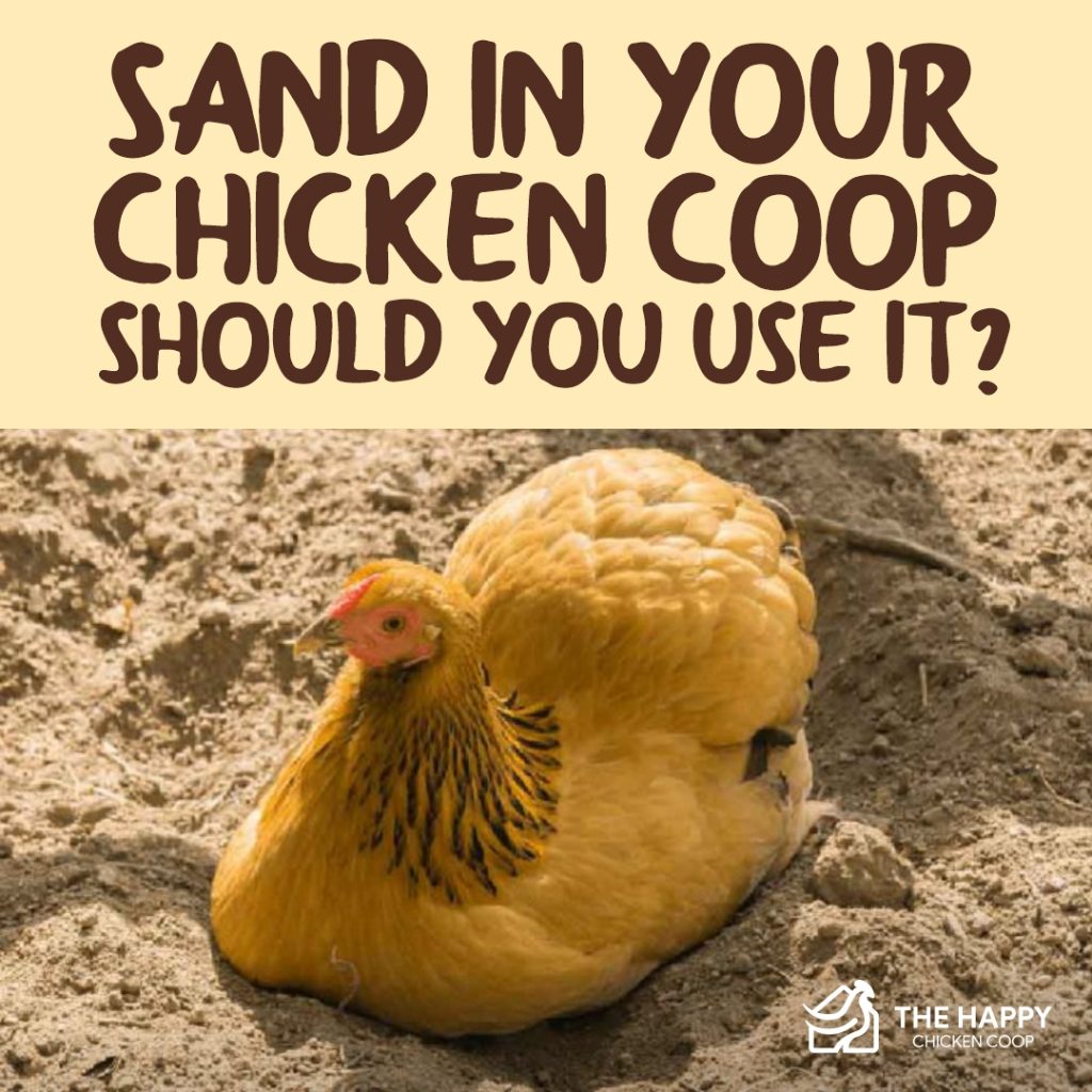 Sand In Your Chicken Coop