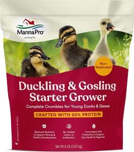 Best Feed for Duckling and Gosling: Manna Pro Starter Grower